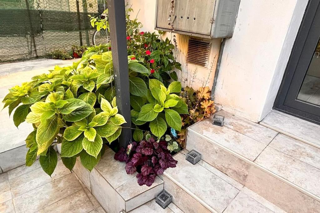 Apartamento Casa Semi 整套公寓